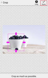 Change Photo Effects and Background Online - Rectangular Crop Tool