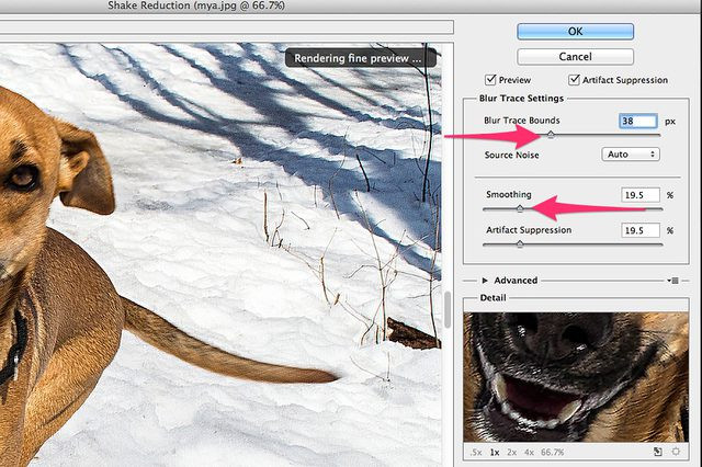 All Ways to Deblur Photos - Finish Deblurring Photos