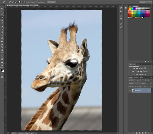 Art:How to get a transparent background using Photo Editor - YPPedia