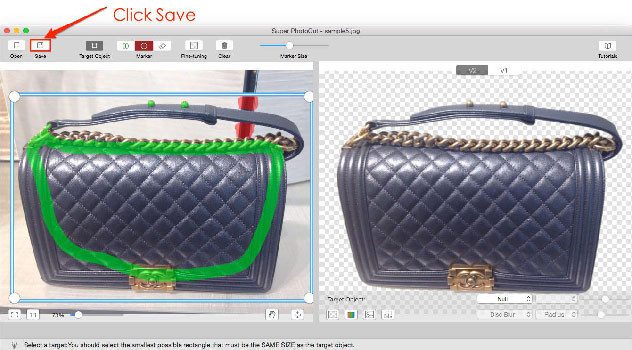 Remove Background from Image - Click Save Button to Save Image