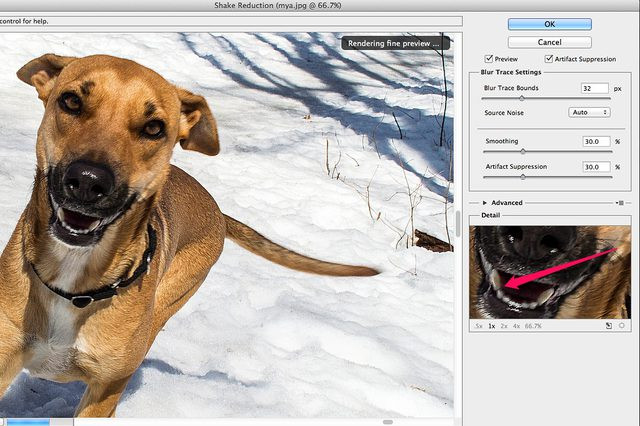 Helpful Methods to Remove Blur from Image - Sharpen Image