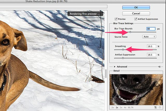 Helpful Methods to Remove Blur from Image - Focus on Specific Area