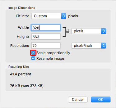 Resize JPG - Set up the Width and Height of the Image