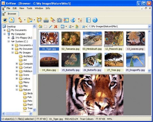 Windows Photo Gallery - XnView