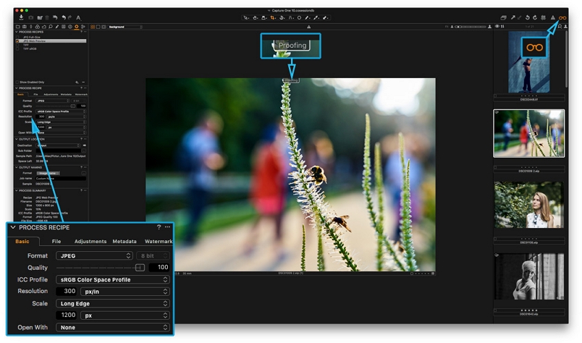 Photo Editor for PC - Phase one Capture one Pro 11 