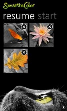 Windows 10 Photo Editor - Sense the Color