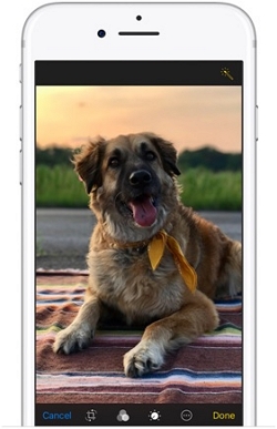 How to Edit Photos on IPhone-Enhance the Photo