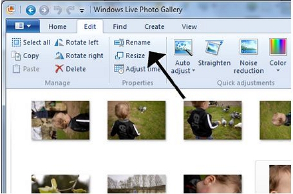 Windows Photo Gallery - Run the Photo Cutter