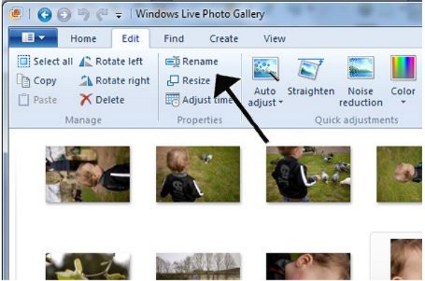 Windows Photo Gallery Alternative