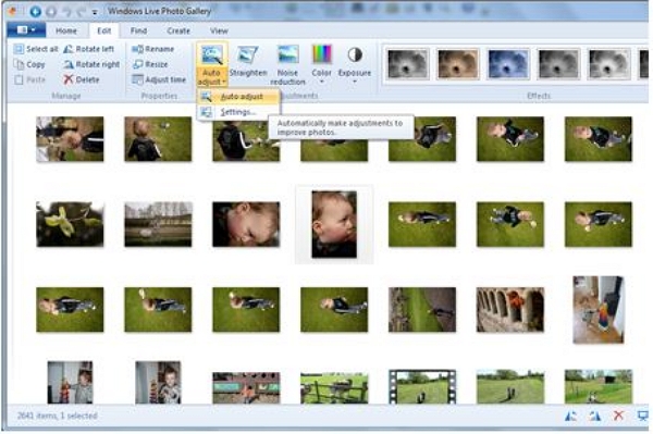 Windows Photo Gallery - Find the Text Option 