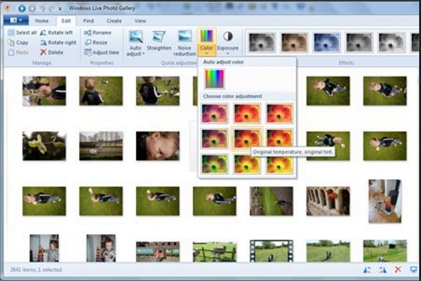 alternative to windows live photo gallery