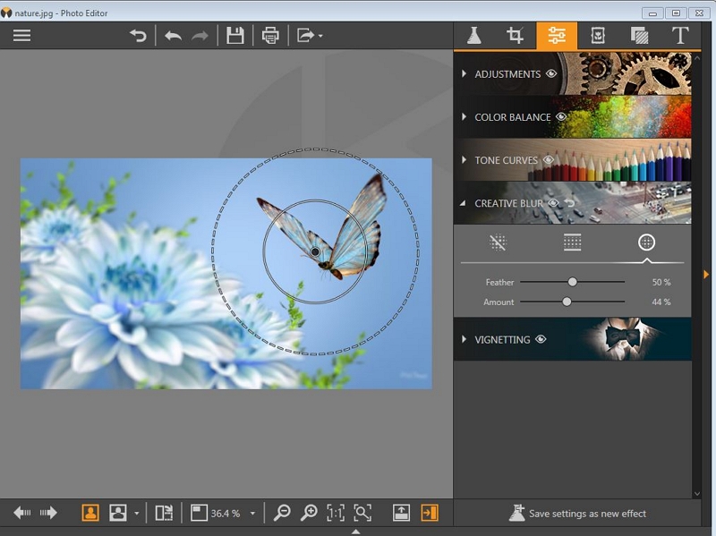 Picasa Photo Editor for Windows 7-Focus the Target Photo 