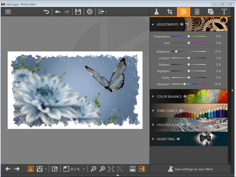 Picasa Photo Editor for Windows 7-Alter the Brightness Option