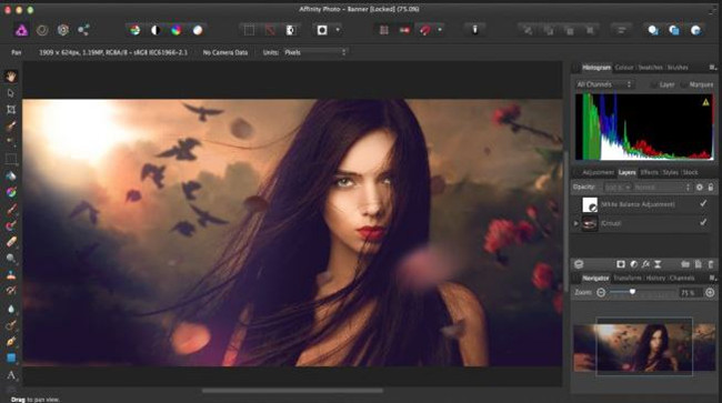 Camera Photo Editors for Photographers - Phase One Capture One Pro 10