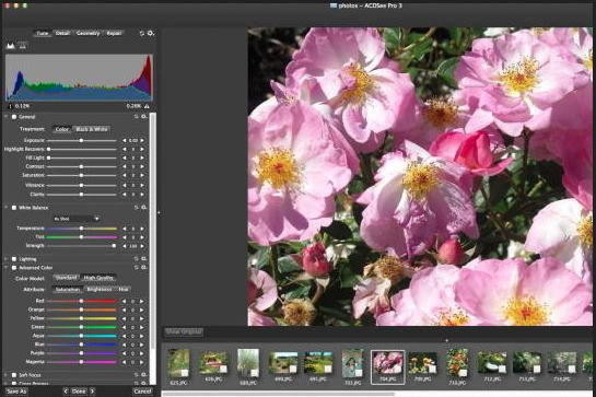 Face Crop Editor - ACDSee Pro 3 for Mac