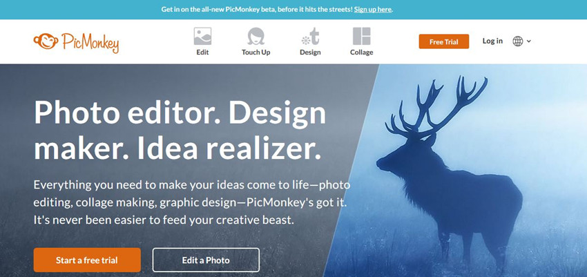 Top 7 Free Online Photo Editor Websites with Easy and ...