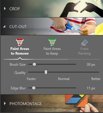 Best Online Photo Background Changer - Choose Pain Areas to Remove