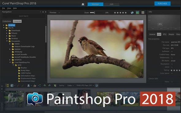 Most Helpful Photo Background Changer Software - Corel PaintShop Pro