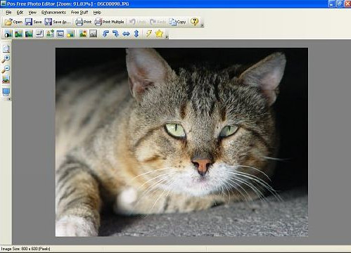 Photo Background Changer Software for Windows 7 - Pos Free Photo Editor