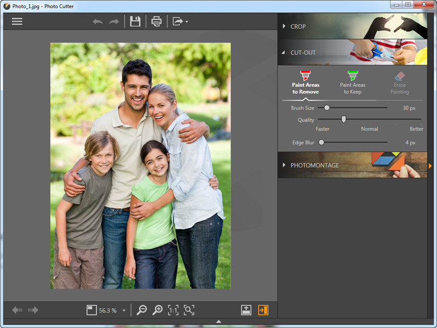 Most Helpful Photo Background Changer Software - Choose Cut Out Option