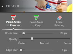 Photo Cutter and Background Changer - Paint Area to Remove