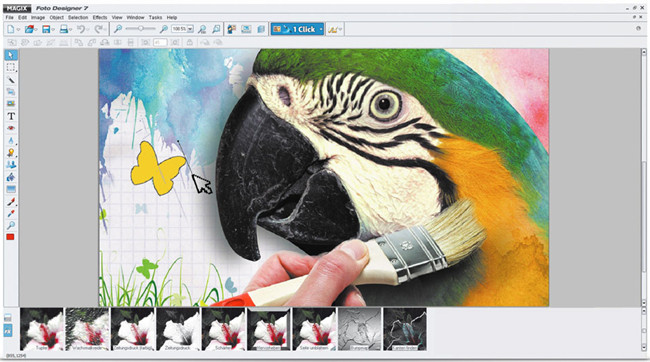 Photo Frame Editor Software and Apps - MAGIX Photo Designer