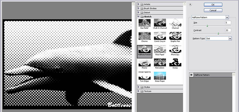 Cool Photo Effects- Cool Halftone Effects with Pattens