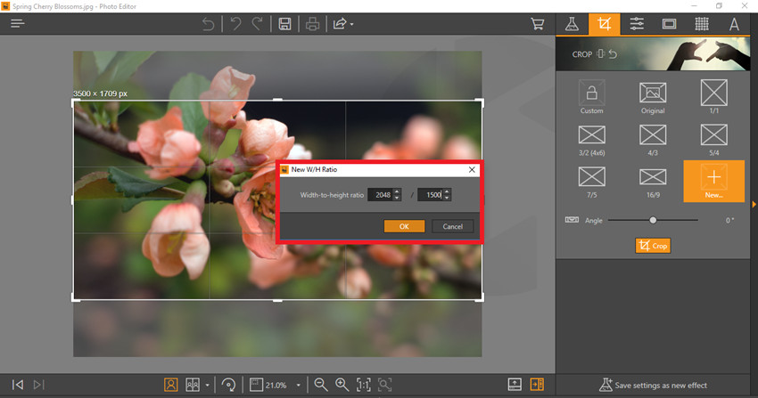 How to Make Your Photo Match Facebook Post Image Size - Create Custom Crop