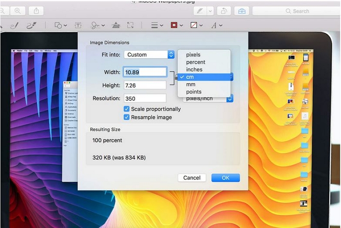 How to Make Collage on Instagram - Check the Scale Proportionally Box 