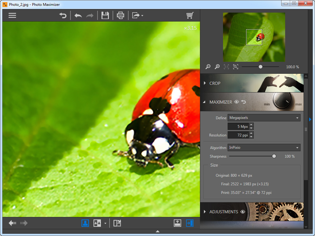 Photo Maximizer zum Vergrößern von Fotos verwenden - Megapixel